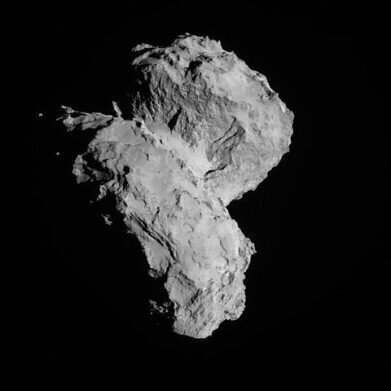 Chromatography on Comet 67P - the First Results

