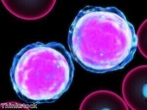 Antibody-based treatment improves immune response to cancer