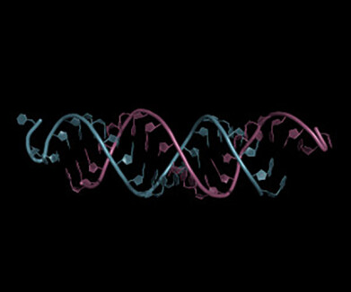 RP-MS analysis of therapeutic oligonucleotides without the use of ion pair reagents